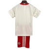 Benfica Terrace Icons Voetbaltenue 2025-26 - Kind