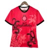 Inter Milan Special Edition Voetbalshirt 2025-26