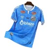 Santos FC Dragon Voetbalshirt 2025-26 Blauwe