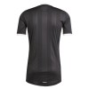 Aston Villa Voetbalshirt Doelman 2025-26 Zwarte