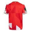 FSV Mainz 05 Special Edition Voetbalshirt 2025-26