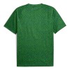 Manchester City Pre-Match Voetbalshirt 2025-26 Groene