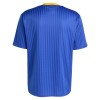 Boca Juniors Terrace Icons Voetbalshirt 2025-26