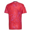 Costa Rica Voetbalshirt Thuis WK 2026
