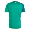 Noord-Ierland Voetbalshirt Thuis WK 2026