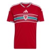 Wales Voetbalshirt Thuis WK 2026