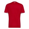 Wales Voetbalshirt Thuis WK 2026