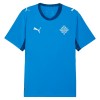 IJsland Voetbalshirt Thuis WK 2026