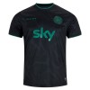Ierland Special Edition Voetbalshirt 2025-26