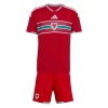 Wales Voetbaltenue Thuis WK 2026 - Kind