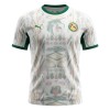 Senegal Voetbalshirt Thuis WK 2026