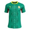 Senegal Voetbalshirt Uit WK 2026