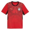 Egypte Voetbalshirt Thuis WK 2026