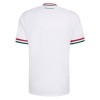 Hongarije Voetbalshirt Uit WK 2026