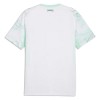 Oostenrijk Voetbalshirt Uit WK 2026