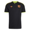 Peru Voetbalshirt Uit WK 2026