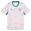 Senegal Voetbalshirt Thuis WK 2026