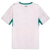 Senegal Voetbalshirt Thuis WK 2026