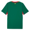 Senegal Voetbalshirt Uit WK 2026