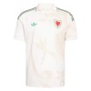 Wales Voetbalshirt Uit WK 2026