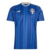 Zweden Voetbalshirt Uit WK 2026