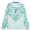 Portugal Voetbalshirt Uit WK 2026 Lange Mouw Portugal Voetbalshirt Uit WK 2026 Lange Mouw