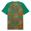 Ivoorkust Pre-Match Voetbalshirt WK 2026