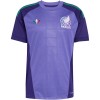 Mexico Voetbalshirt Uit Doelman WK 2026
