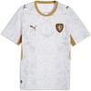 Tsjechië Voetbalshirt Uit WK 2026 Tsjechië Voetbalshirt Uit WK 2026
