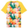 Senegal Pre-Match Voetbalshirt WK 2026