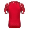 Tunesië Voetbalshirt Uit WK 2026