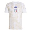 Italië Pre-Match Voetbalshirt 2026 Italië Pre-Match Voetbalshirt 2026