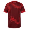 Internacional Voetbalshirt 3e 2026-27