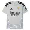 Benfica Voetbalshirt Doelman 2026-27 Grijze Benfica Voetbalshirt Doelman 2026-27 Grijze