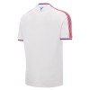 Crystal Palace Voetbalshirt Thuis 2026-27