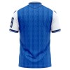 TSG 1899 Hoffenheim Voetbalshirt Thuis 2026-27