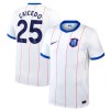 Chelsea Caicedo 25 Voetbalshirt 3e 2026-27