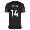 Liverpool Chiesa 14 Voetbalshirt 3e 2026-27